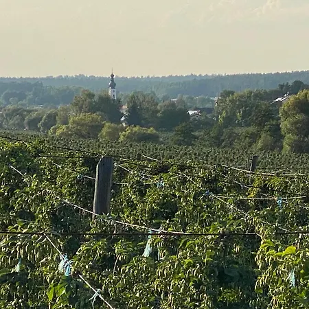 Apartament 1c Boutique Nr14 Mainburg