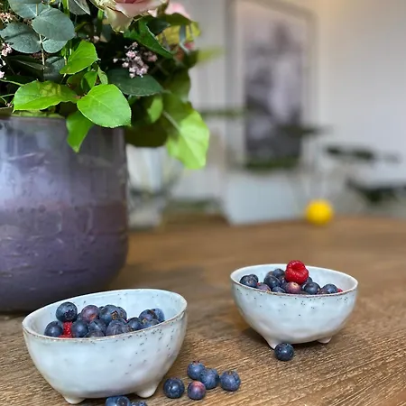 Apartament 1c Boutique Nr14